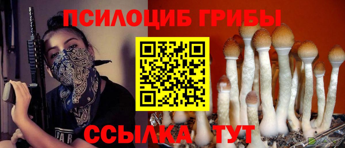 Псилоцибиновые грибы мицелий  Вход с VPN  Псилоцибиновые грибы прущие грибы  Лабытнанги 