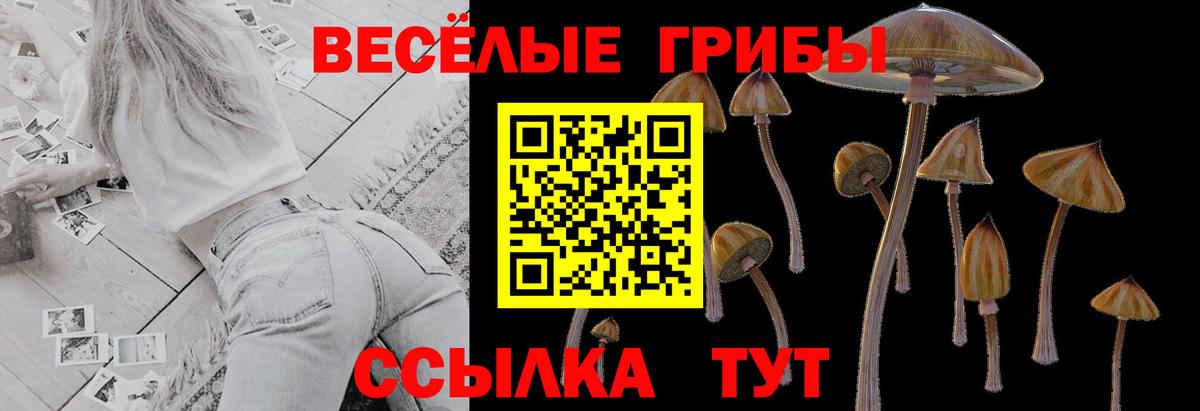 Галлюциногенные грибы MAGIC MUSHROOMS Лабытнанги